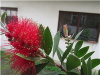 9002e07b-Picture 066.jpg